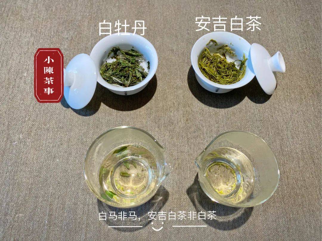 原料|白茶是什么,难道就是白色的茶叶吗?白茶国标给出了明确答案