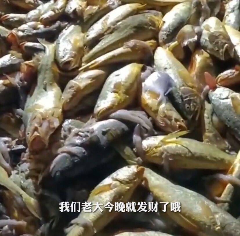 d14d049bcbaa410daeef09a55789b2e7.jpeg