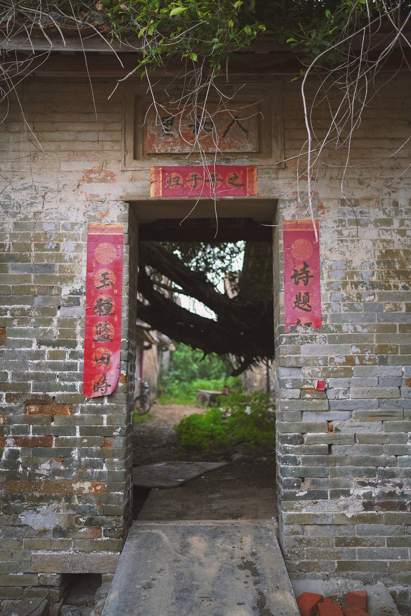 广州从化有个宋代古村,拥有千年历史,被称从化第一村_木棉_村子_村里