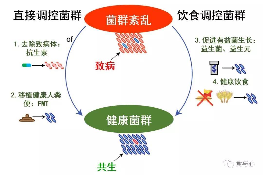 甲状腺|肠漏，你必须知道的热知识（二）