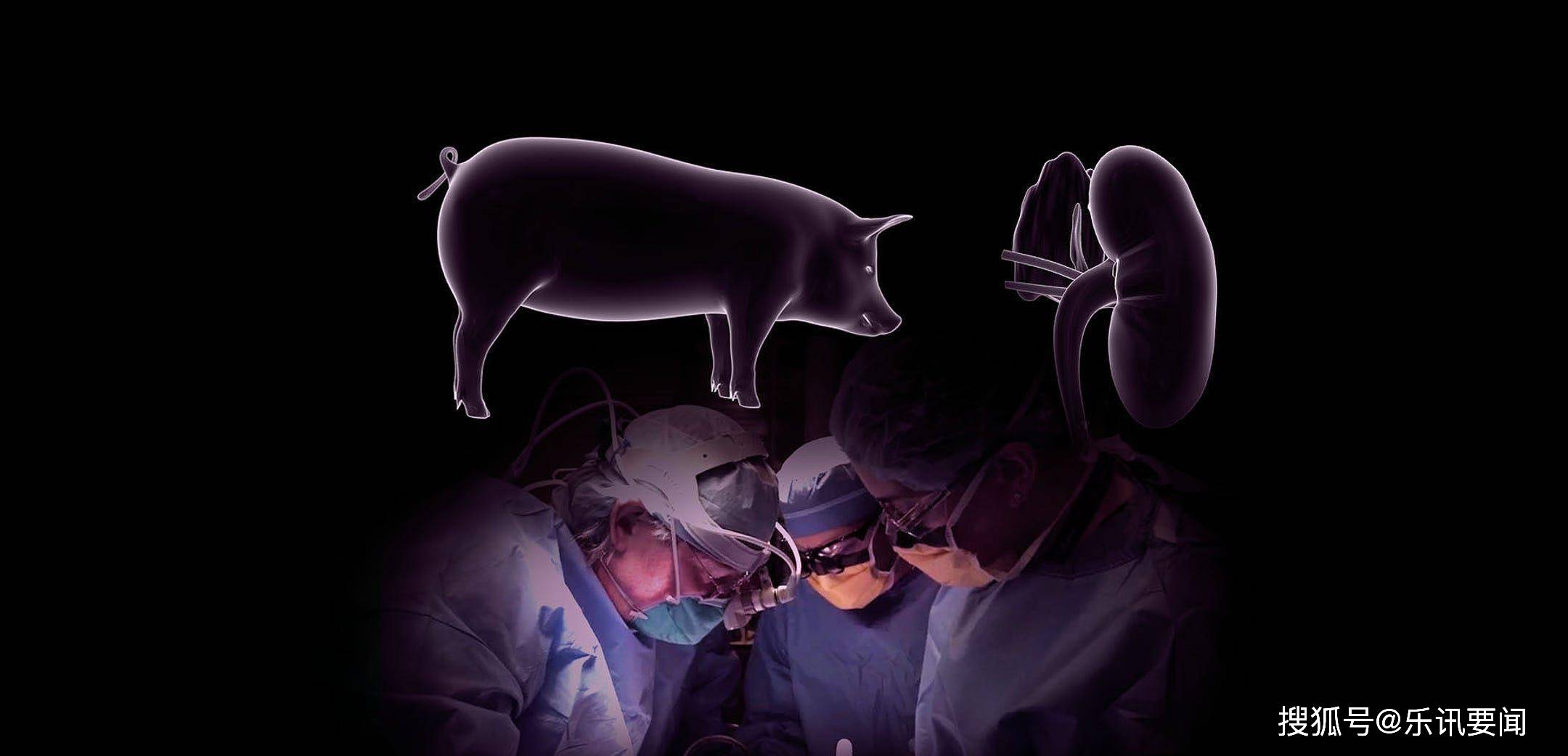 ��������װ�������ϣ�û���ųⷴӦ������ҽ������������