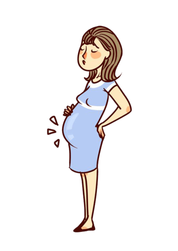 妊娠中期是胎儿发育的关键阶段，孕妈要调整状态！