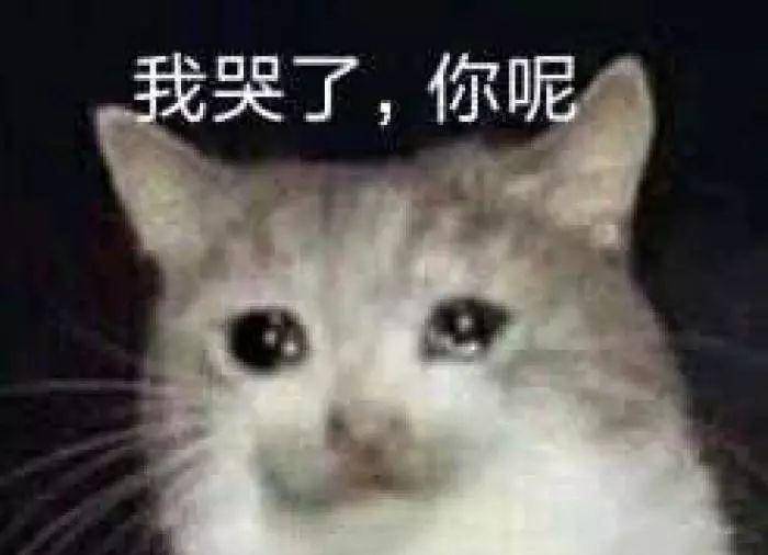 751759302f914dd180f98e443873fe1b.jpeg