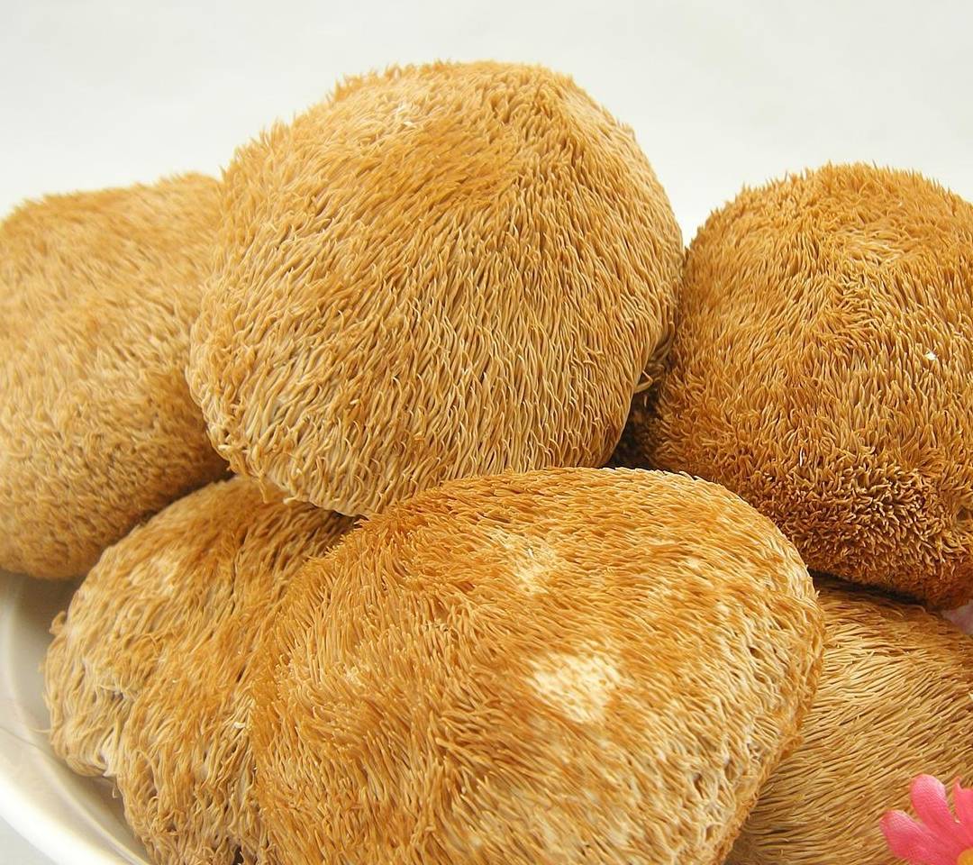 蛋白|邻居孩子3年不见长,感冒易发烧,医生:这些食物少给孩子吃