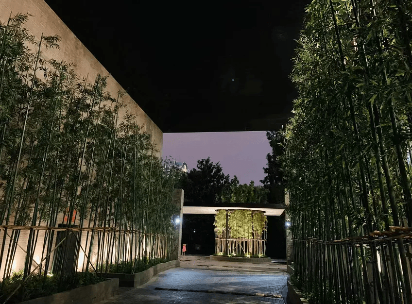 上海璞丽酒店:任岁月流逝,风采依旧_Jaya_Ibrahim_地面