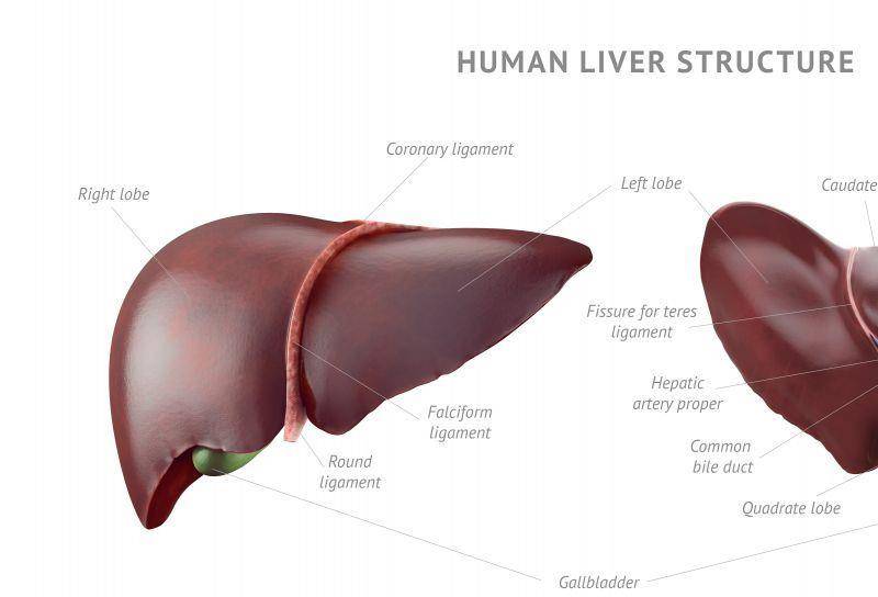 肝脏|皮肤有这5个异样，或是肝脏在“求救”了，及时就医才是良策