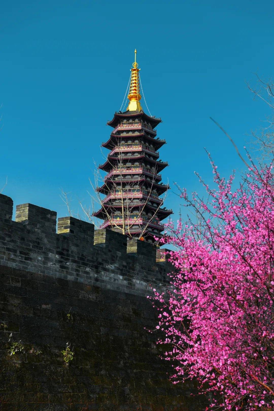 金华市_贾占勇_佛塔