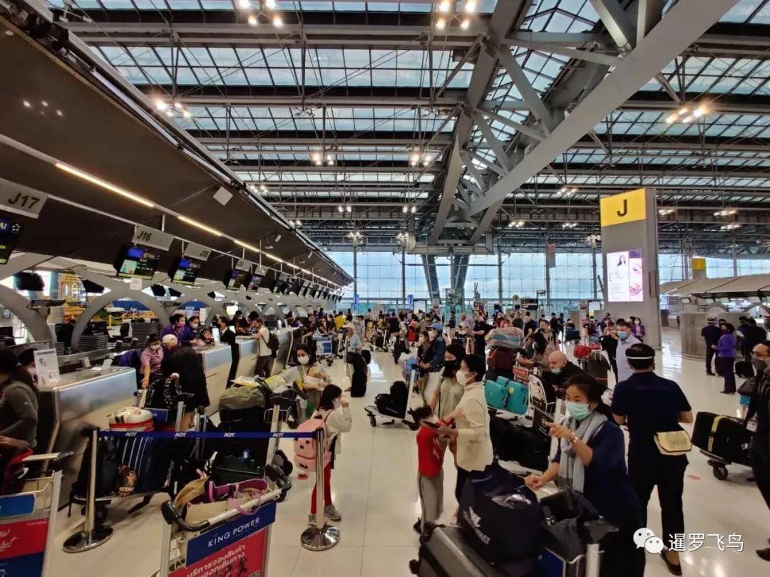 泰国将在2月前重启免隔离入境登记，泰铢应声而涨