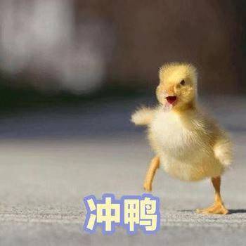 方法甲硝唑能去黑头改善草莓鼻吗？