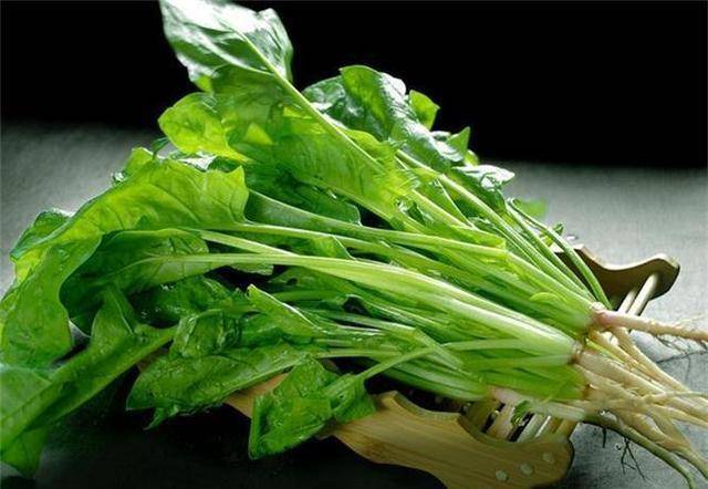 菠菜怎么吃减肥效果最好 aac13e7e40bd440fb64a8fb1411923af.jpeg