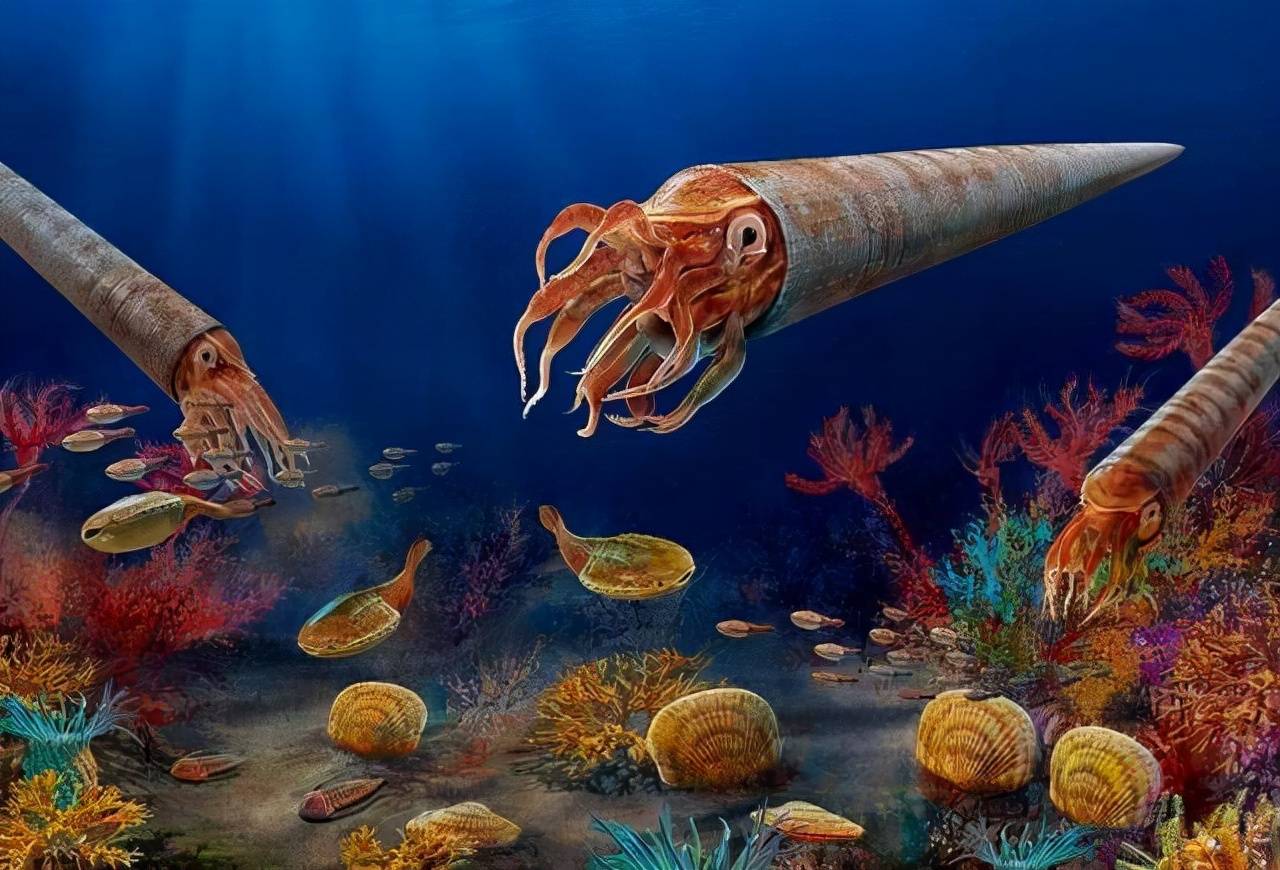 9亿年前,什么造就多姿多彩的奥陶纪生物大辐射?