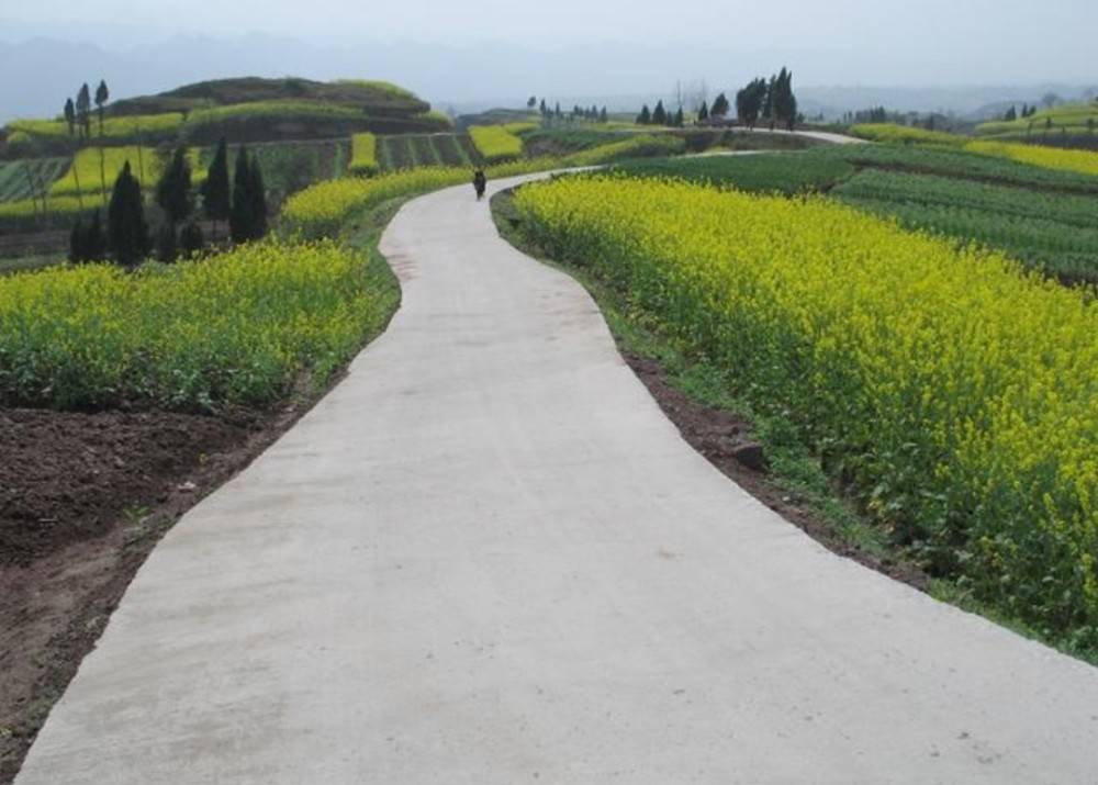  原创 中国农村道路普遍只有3.5米，为什
