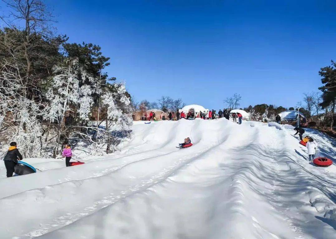 地点|走，玩雪去！沉浸式济南戏雪地点集结，快来看看你要翻谁的牌！