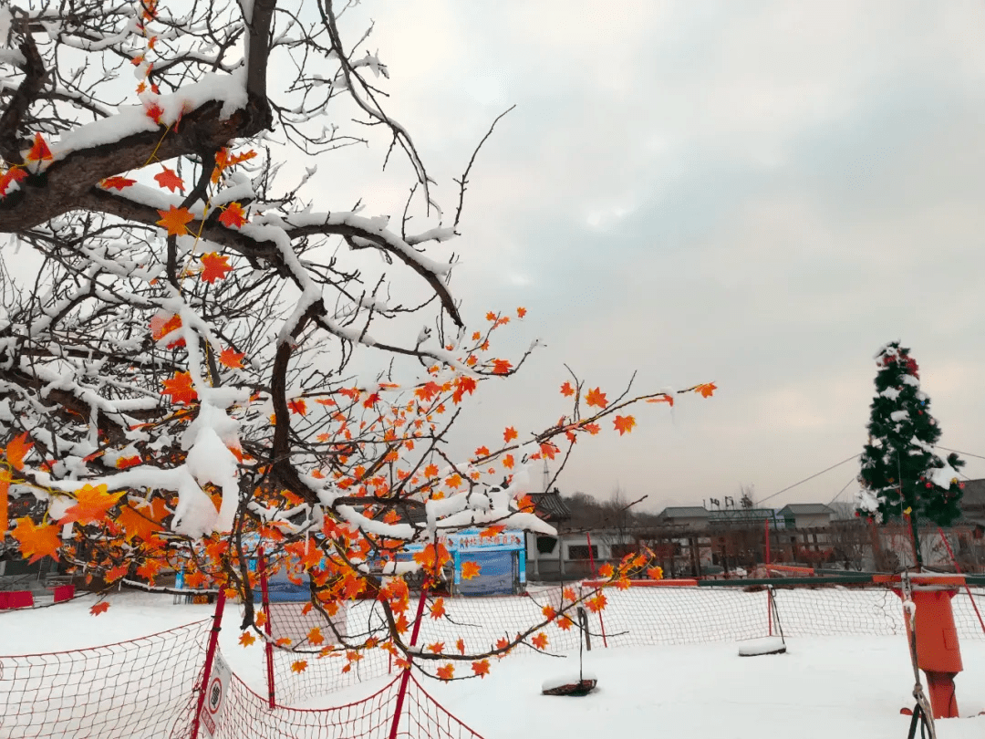 地点|走，玩雪去！沉浸式济南戏雪地点集结，快来看看你要翻谁的牌！