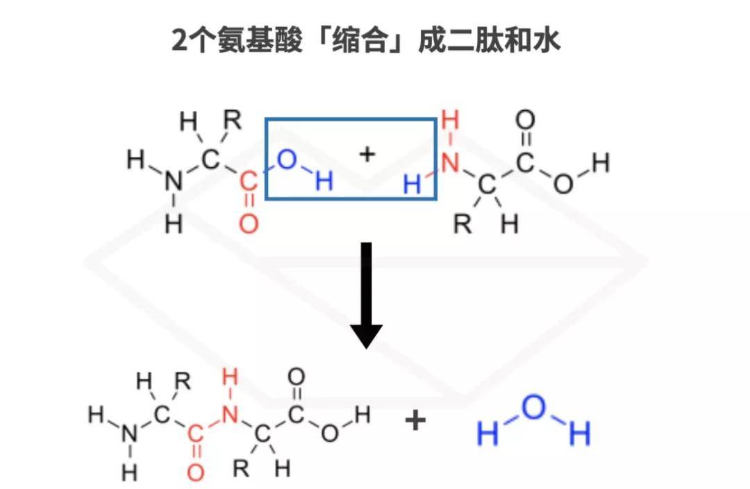 产品想要年轻不烂脸，收好这几个护肤秘诀