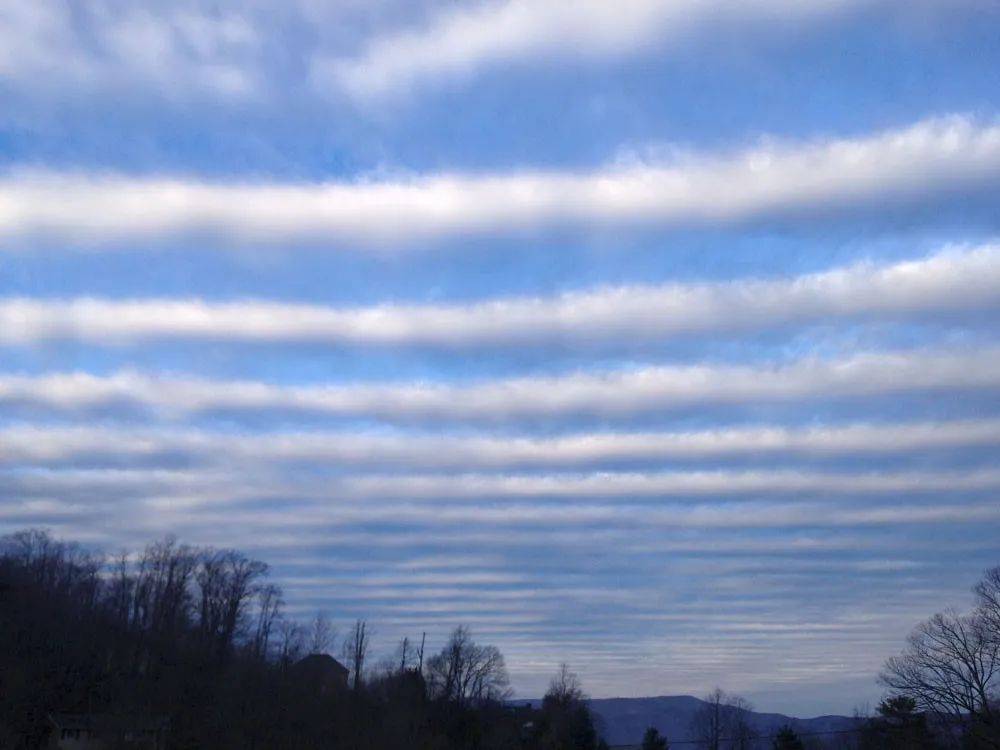 总之,说地震鱼和地震云是地震先兆,是没有科学依据的,因为有时候人们