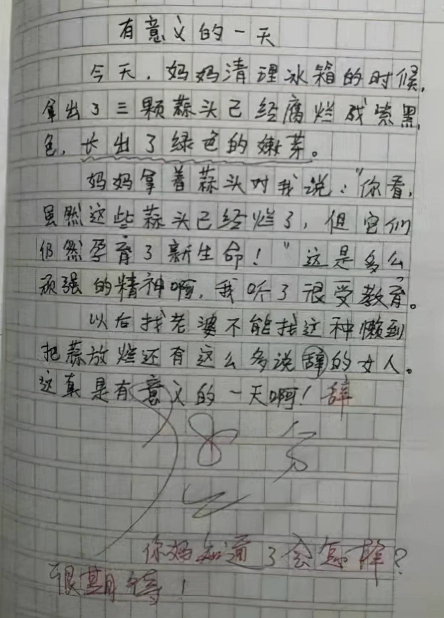 我的理想护士作文 我的理想护士作文1000
