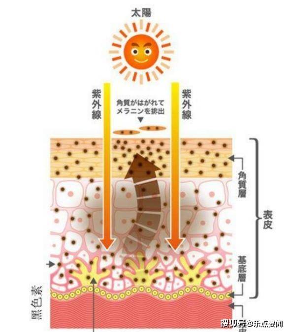 什么为什么人会长白头发？有什么办法可以补救白头发吗？