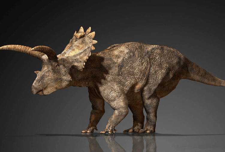 宝可梦来源与生态独角犀牛头上的角仅仅说明它来源于犀牛