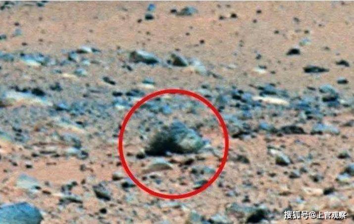 蜗牛人真实现象 45bbc817735442009e4d284529834293.jpeg