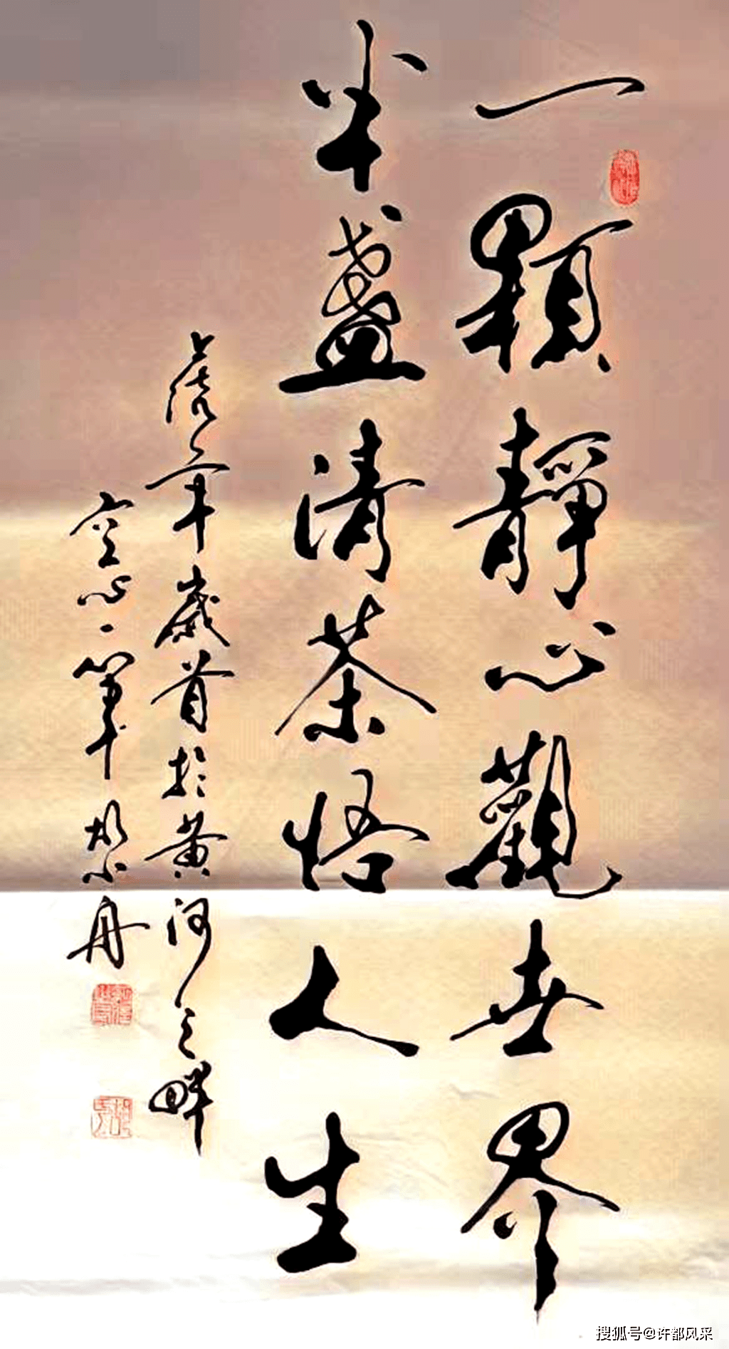 胡小舟作品欣赏以艺抗疫中央电视台《艺览天下》栏目特邀书法家,中华