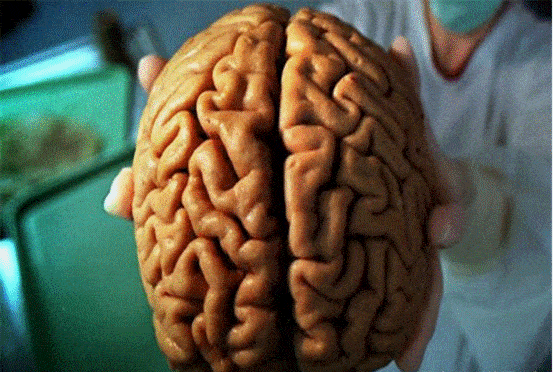 7cbc3748f56f496abf2d56bcf42c5fc2.gif