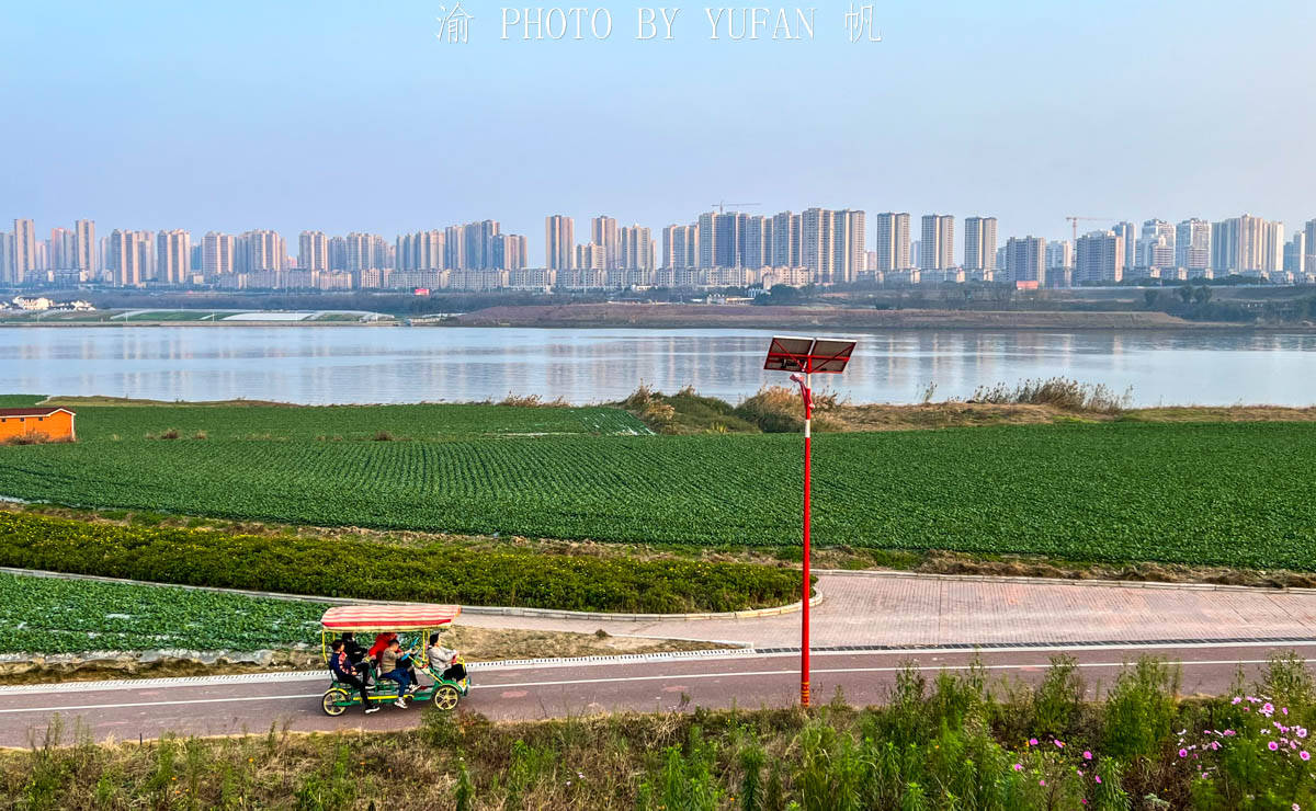 中国|重庆潼南蔬菜公园，中国最接地气的公园，与大佛寺与双江古镇相邻