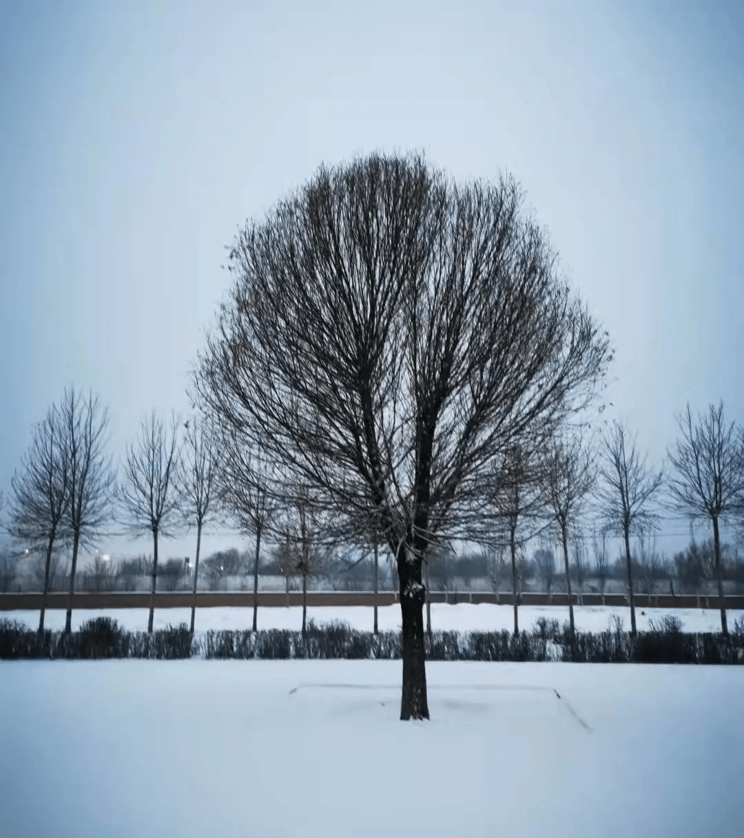 年味|扫雪除冰干起来！