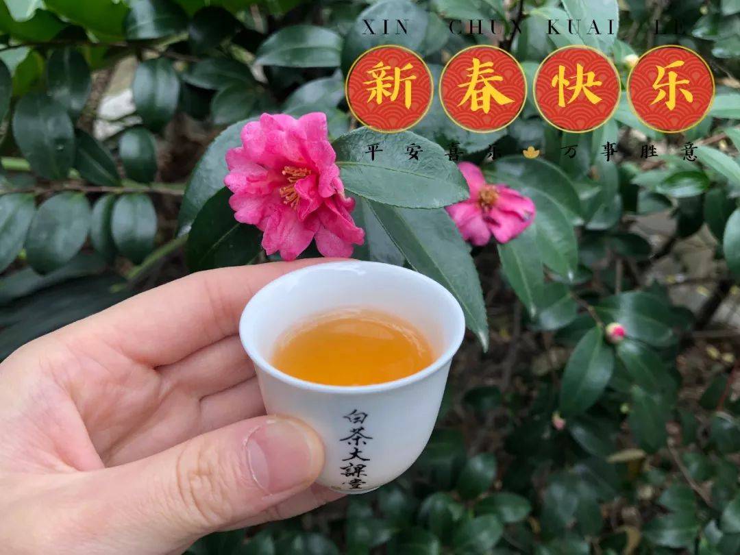 六大|六大茶类，哪些茶要及时喝，哪些茶要长期存？别等过期才后悔