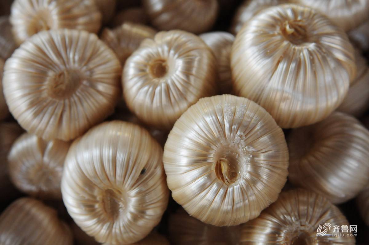 果星来客:中国小年的习俗_糖瓜_王子_家庭