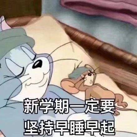 a549af654fff4308a6833a8f05418796.jpeg