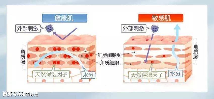 治疗毛孔粗大怎么办？收缩毛孔、改善毛孔问题必看!