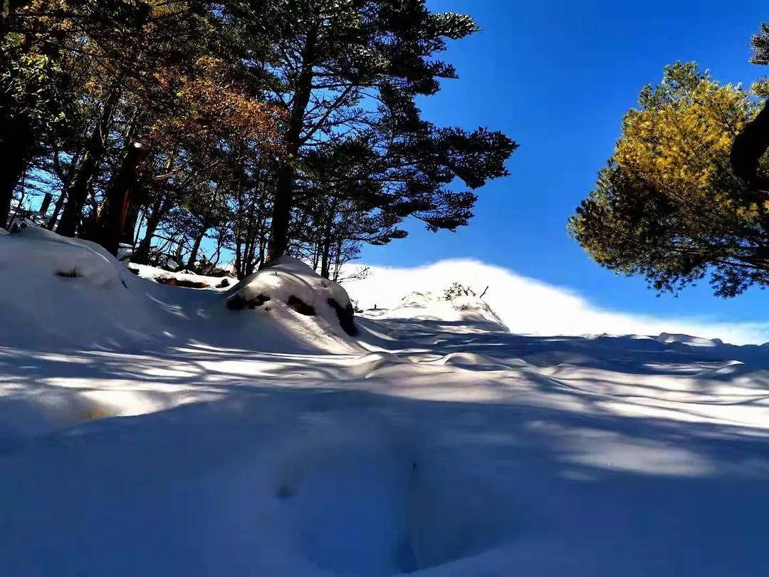 麗江犛牛坪另一個冰雪大世界