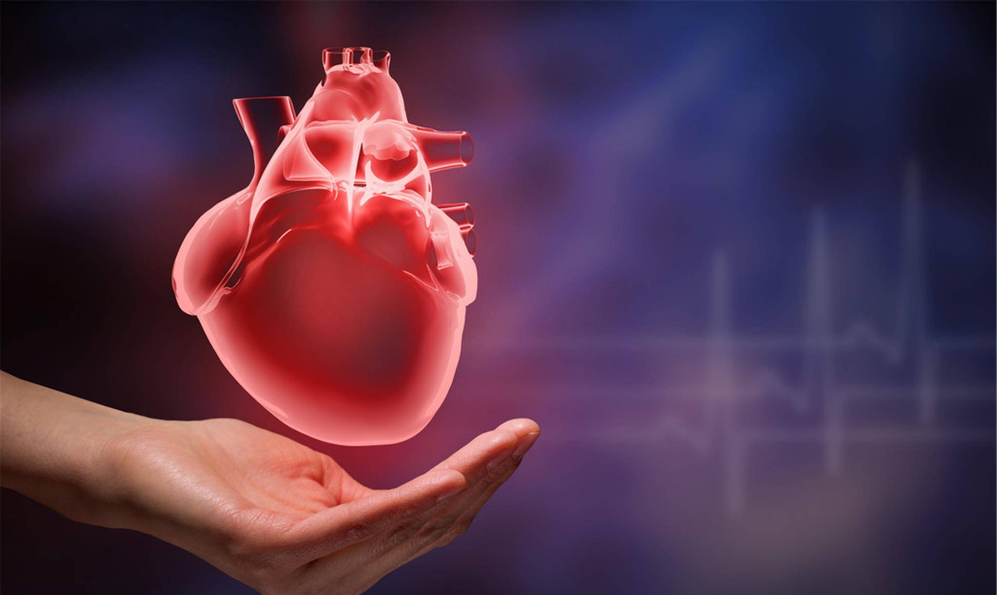 养护心脏的十大技巧 什么季节养心脏最好
