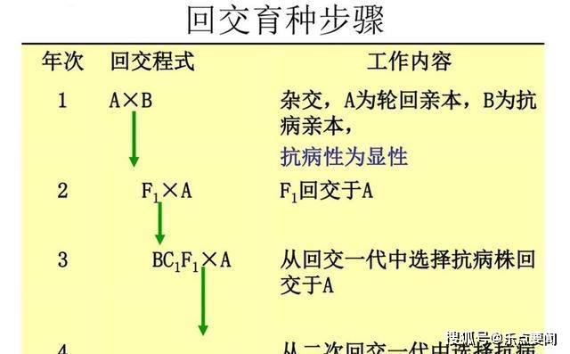 为什么要让动物回交 近亲 不会产生伦理问题吗 育种 进行 后代