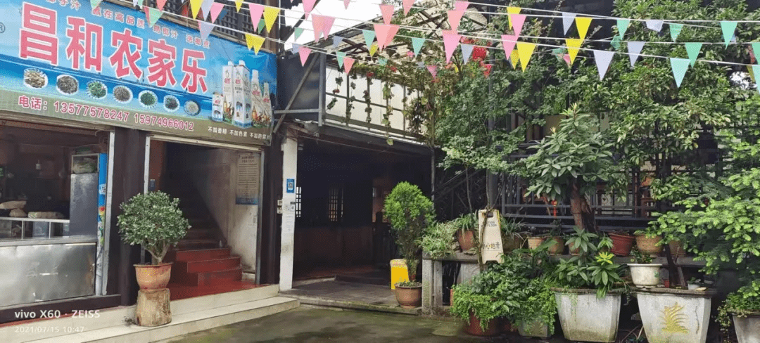 烤鱼|走湿地观鸟 逛古村落寻美食——北海乡春节的正确打开方式