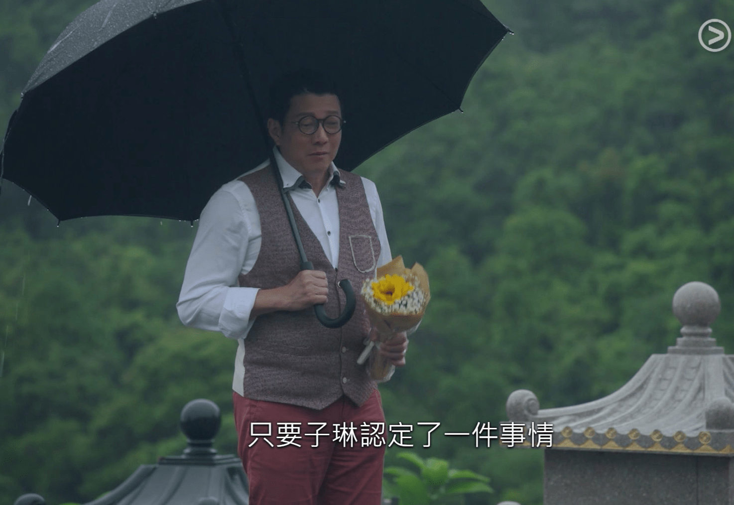 TVB綠葉舉家移民奧地利，聲稱當地物價便宜，不工作靠收房租過活 娛樂 第2張