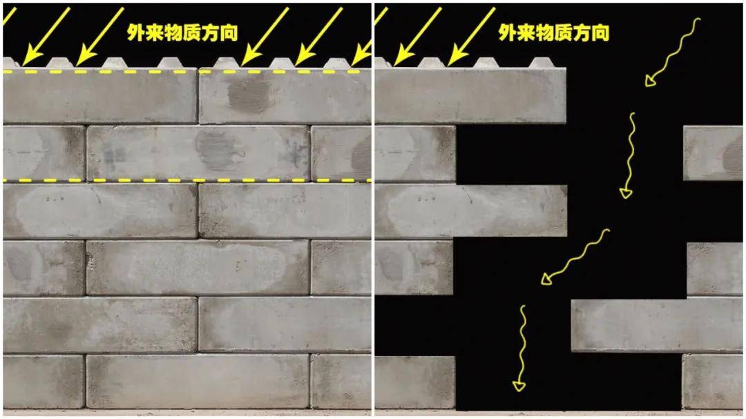 护肤品从护肤到轻医美，敏感肌到底该怎么做？