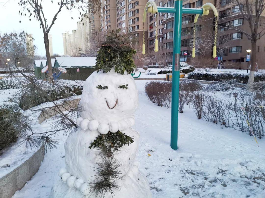 瑞雪|瑞雪踏春迎新年