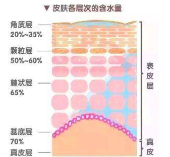 因为国民级整容翻车现场，48岁大长今复出神颜碾压95后