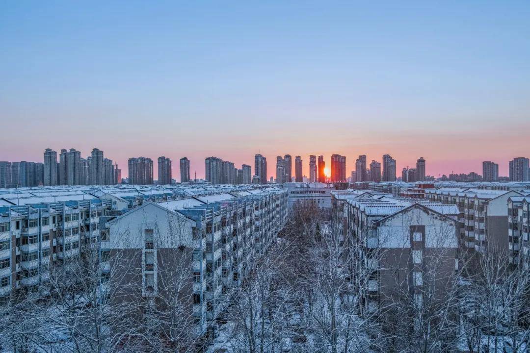 瑞雪|瑞雪踏春迎新年