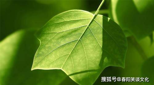 591b542f5f9c411ca9d96669a30620f4.jpeg