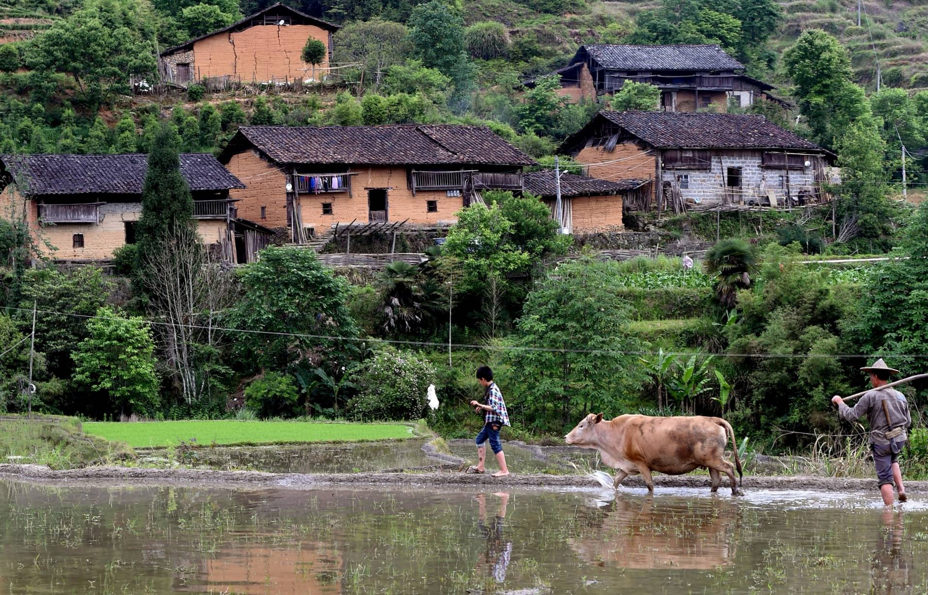 县城|行摄浦城横溪村