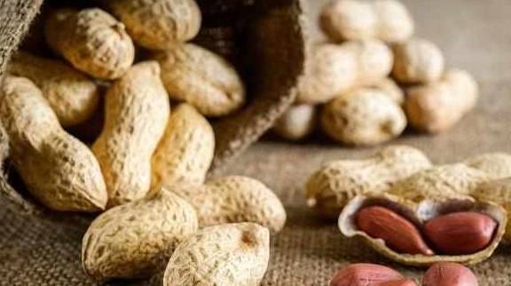 因为|瓜子和花生，一个让你长胖，一个让你减肥，或许很多人都吃错了