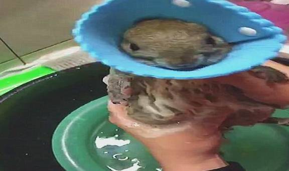 沐浴是什么东西 6e8de2f3ff2a45f3af34e9d70377d1fa.jpeg