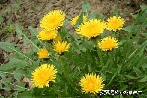 745d3d524c5d42b281ac29919cc0618a.jpeg