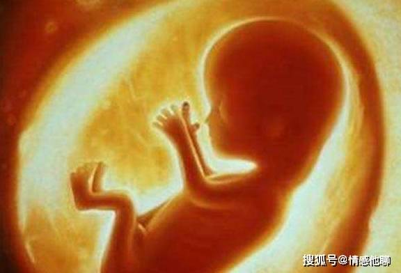 几个月胎儿发育好了 9899130482ae403fa991e6680ca5344b.jpeg