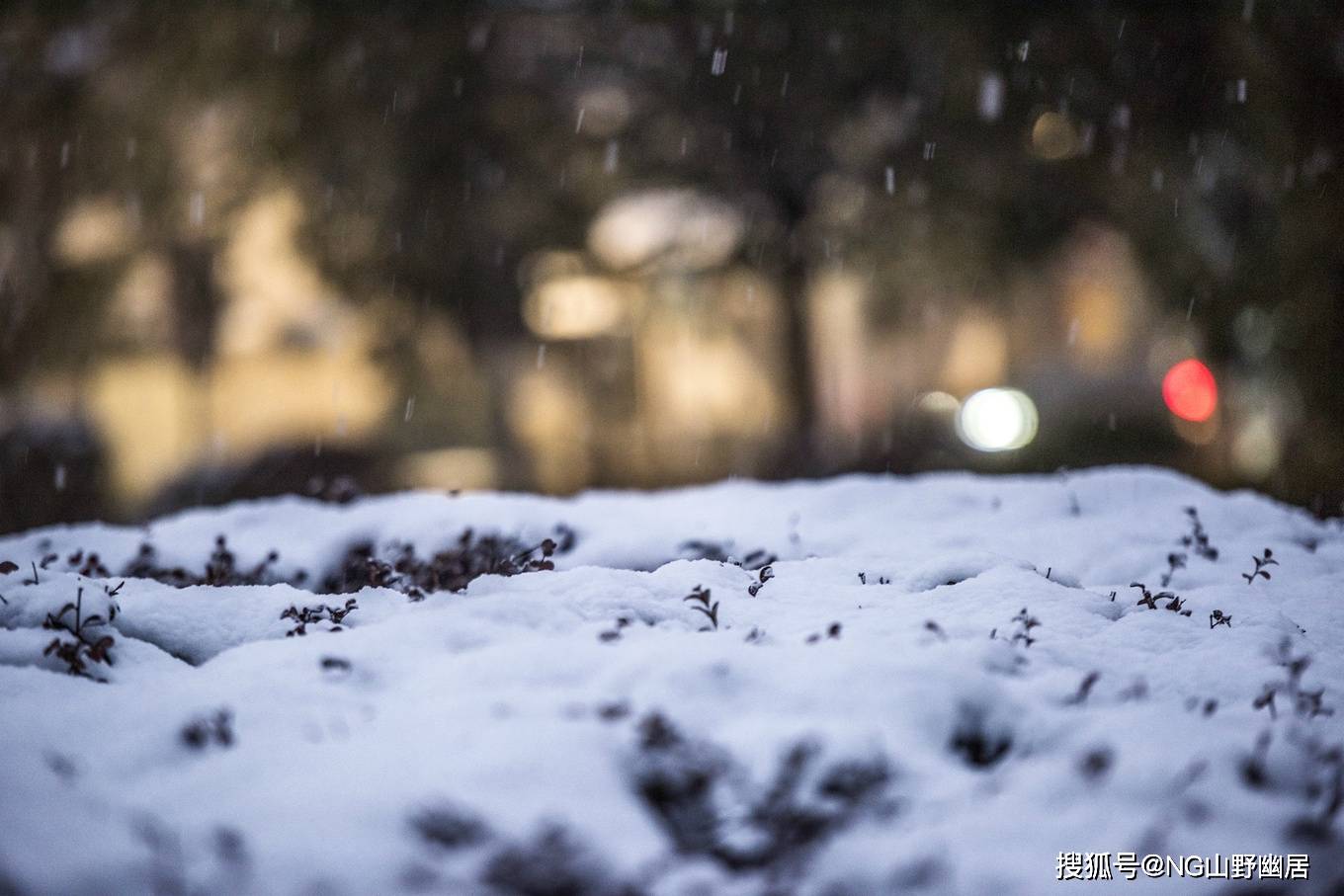 雪景|皖南宁国遇大雪：很有雪国风光的意境，美得让人大呼小叫！