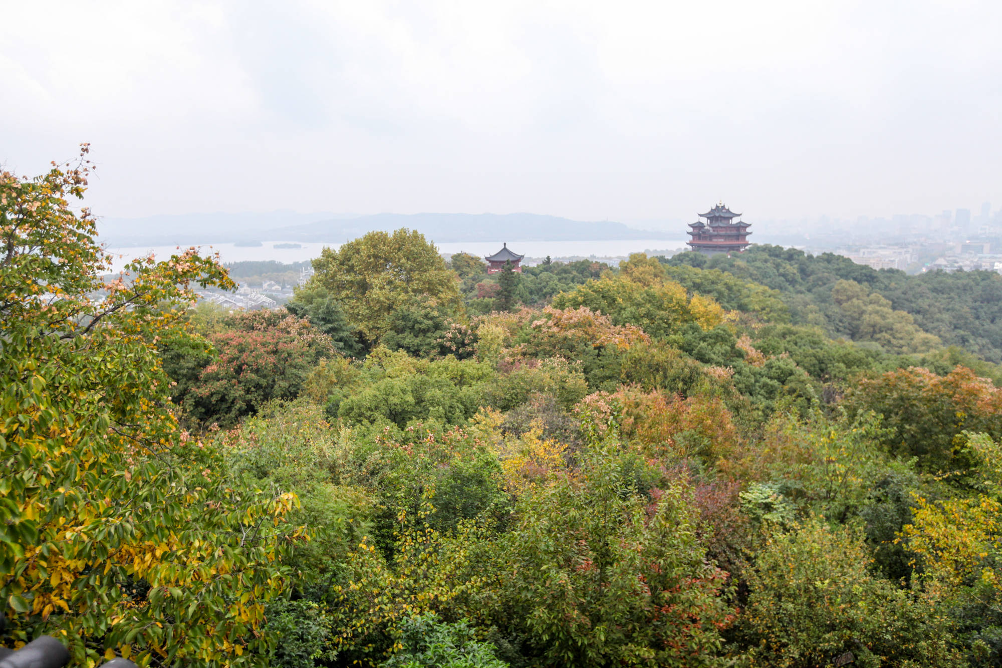 宋朝|杭州闹市区藏了一个亭子，是看西湖的最佳景点，很多游客不知道