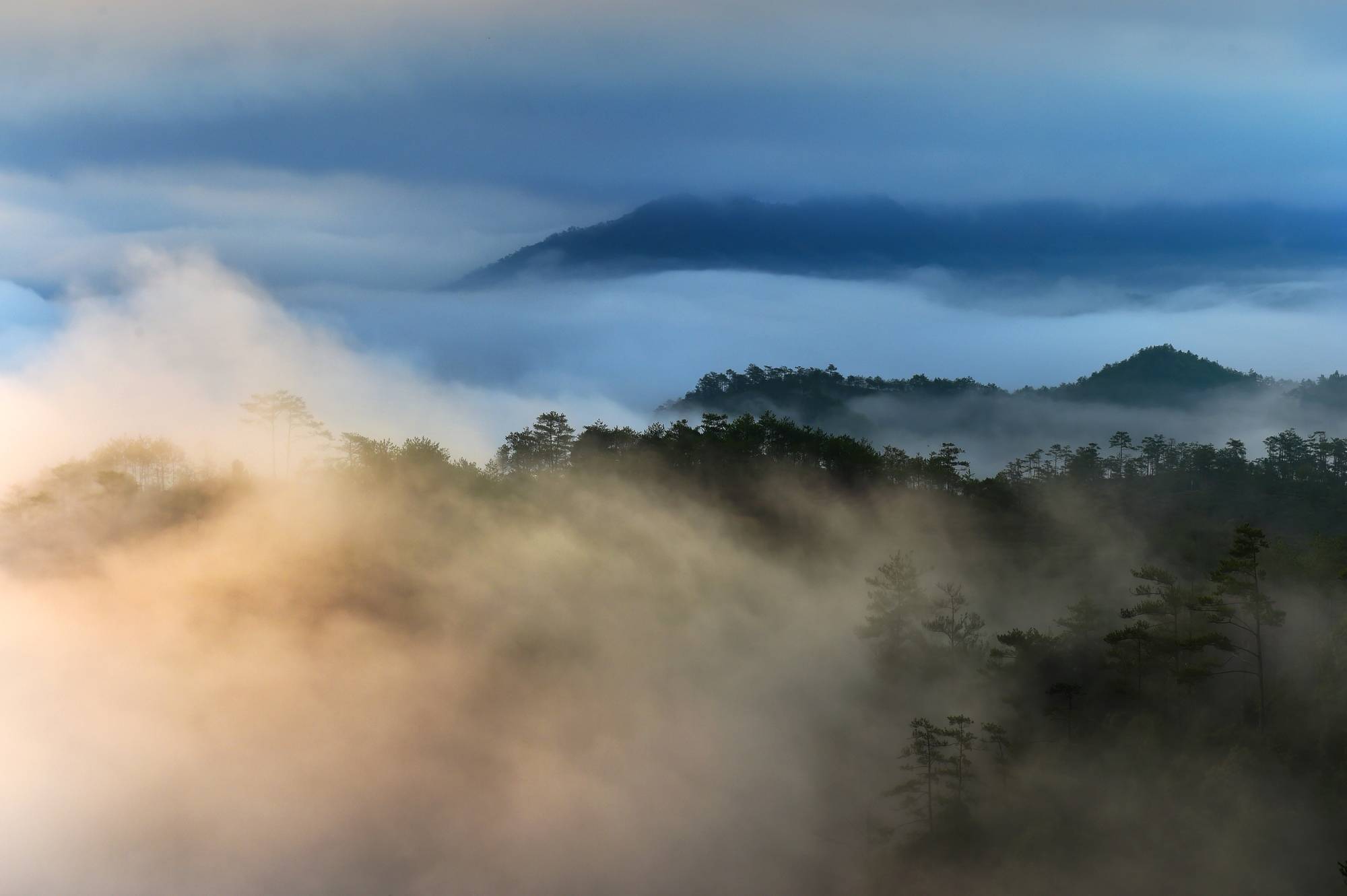 地方|云海翻腾武夷山